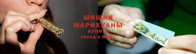 стафф Нефтекумск