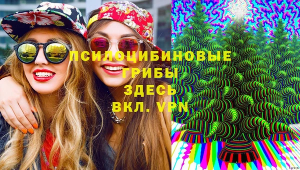 apvp Арсеньев