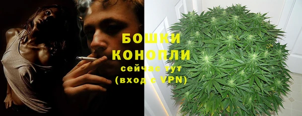 каннабис Аркадак